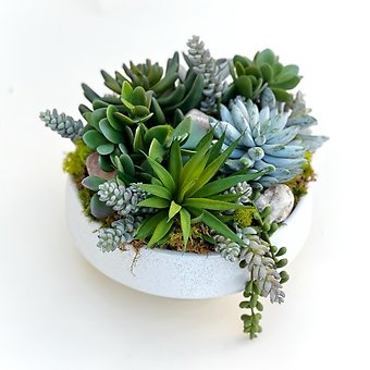 Everlasting Succulent Dishgarden- SILK ITEM