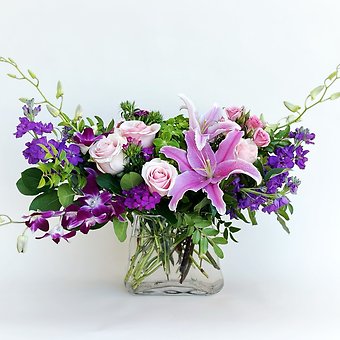 Violet Enchantment