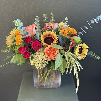 Fall Splendor