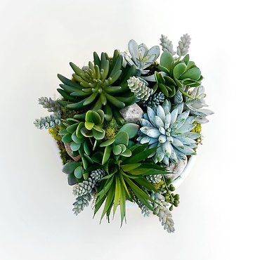 Everlasting Succulent Dishgarden- SILK ITEM
