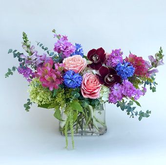 Blooming Bliss