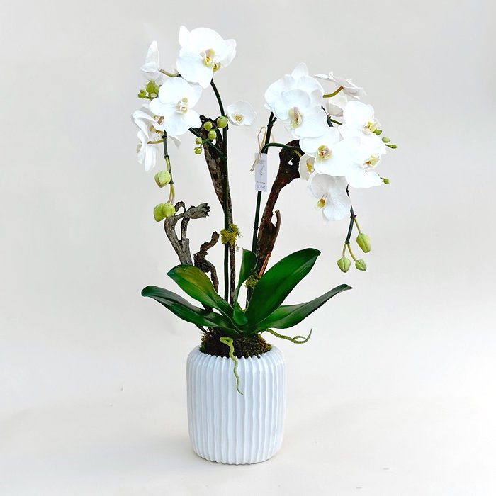 Everlasting Opulent Orchid- SILK ITEM
