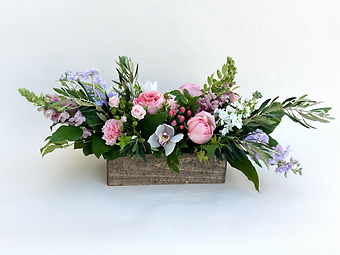 Bloom Box