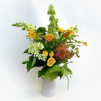 Citrus Sunshine